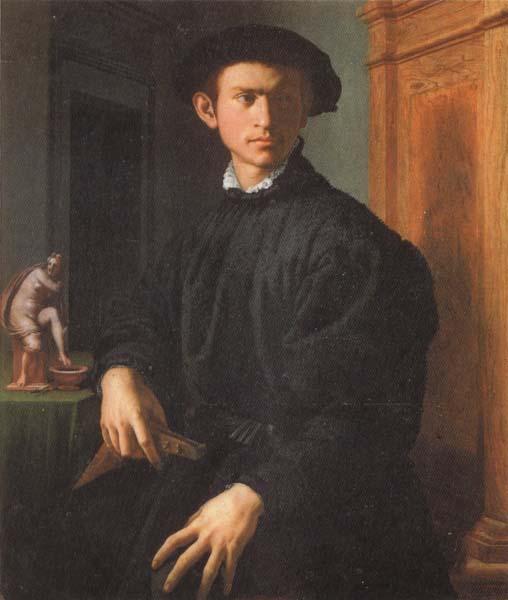 Agnolo Bronzino Portrait of a Young Man with a Lute Germany oil painting art